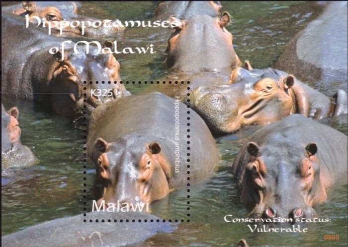 Malawi 2009 Hippopotamuses Souvenir Sheet of 1 Scott 748 Malawi 2009 Hippopotamuses Souvenir Sheet of 1 Scott 748
