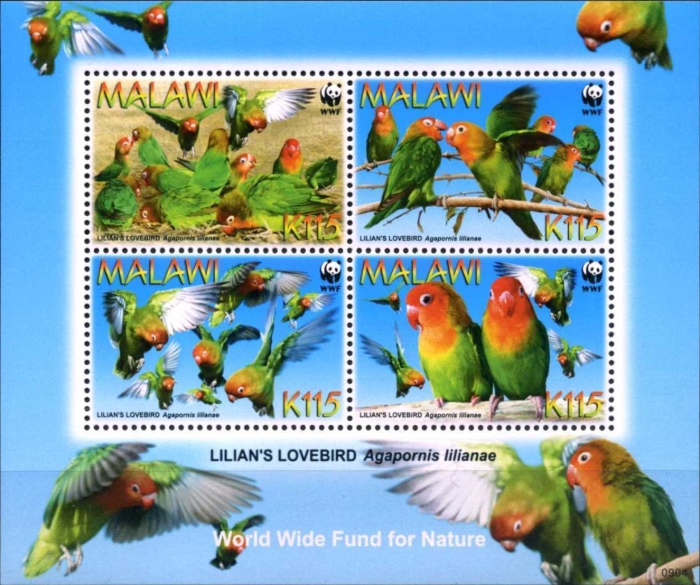 Malawi 2009 Lilian's Lovebirds WWF Scott 751 Malawi 2009 Lilian's Lovebirds WWF Scott 751