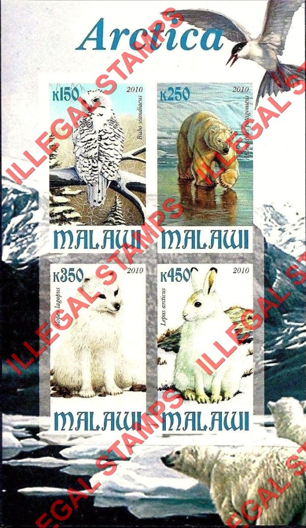 Malawi 2010 Arctic Animals Illegal Stamp Souvenir Sheet of 4 Malawi 2010 Arctic Animals Illegal Stamp Souvenir Sheet of 4