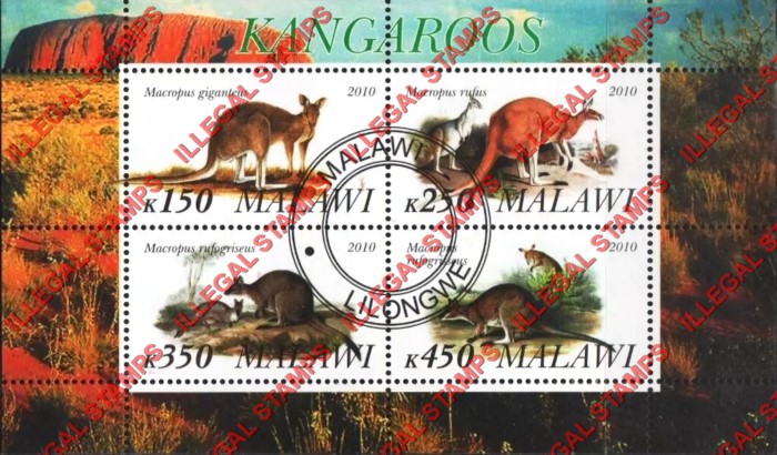Malawi 2010 Kangaroos Illegal Stamp Souvenir Sheet of 4 Malawi 2010 Kangaroos Illegal Stamp Souvenir Sheet of 4