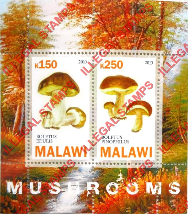Malawi 2010 Mushrooms Illegal Stamp Souvenir Sheet of 2 Malawi 2010 Mushrooms Illegal Stamp Souvenir Sheet of 2