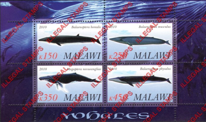 Malawi 2010 Whales Illegal Stamp Souvenir Sheet of 4 Malawi 2010 Whales Illegal Stamp Souvenir Sheet of 4