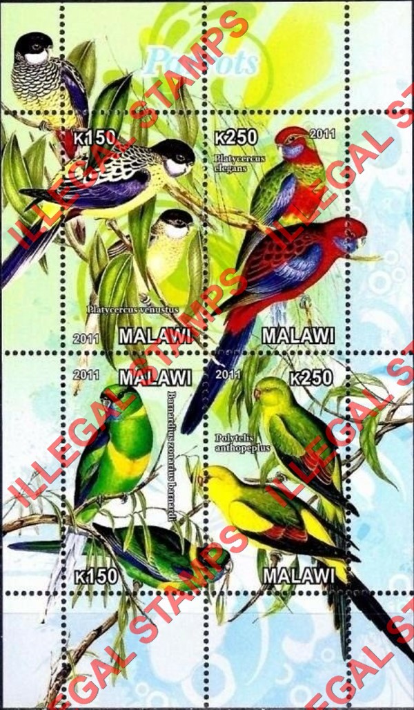 Malawi 2011 Parrots Illegal Stamp Souvenir Sheet of 4 Malawi 2011 Parrots Illegal Stamp Souvenir Sheet of 4