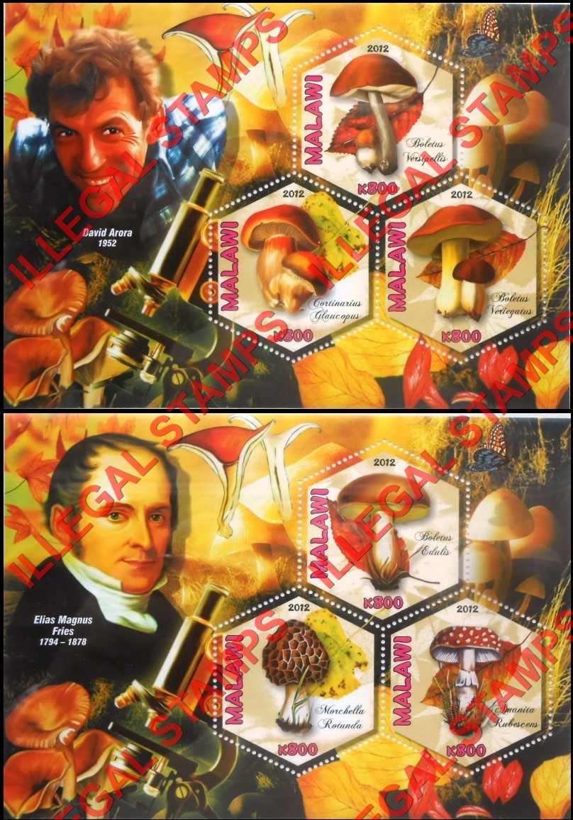 Malawi 2012 Mushrooms and Mycologists Illegal Stamp Souvenir Sheets of 3 (Part 1) Malawi 2012 Mushrooms and Mycologists Illegal Stamp Souvenir Sheets of 3 (Part 1)