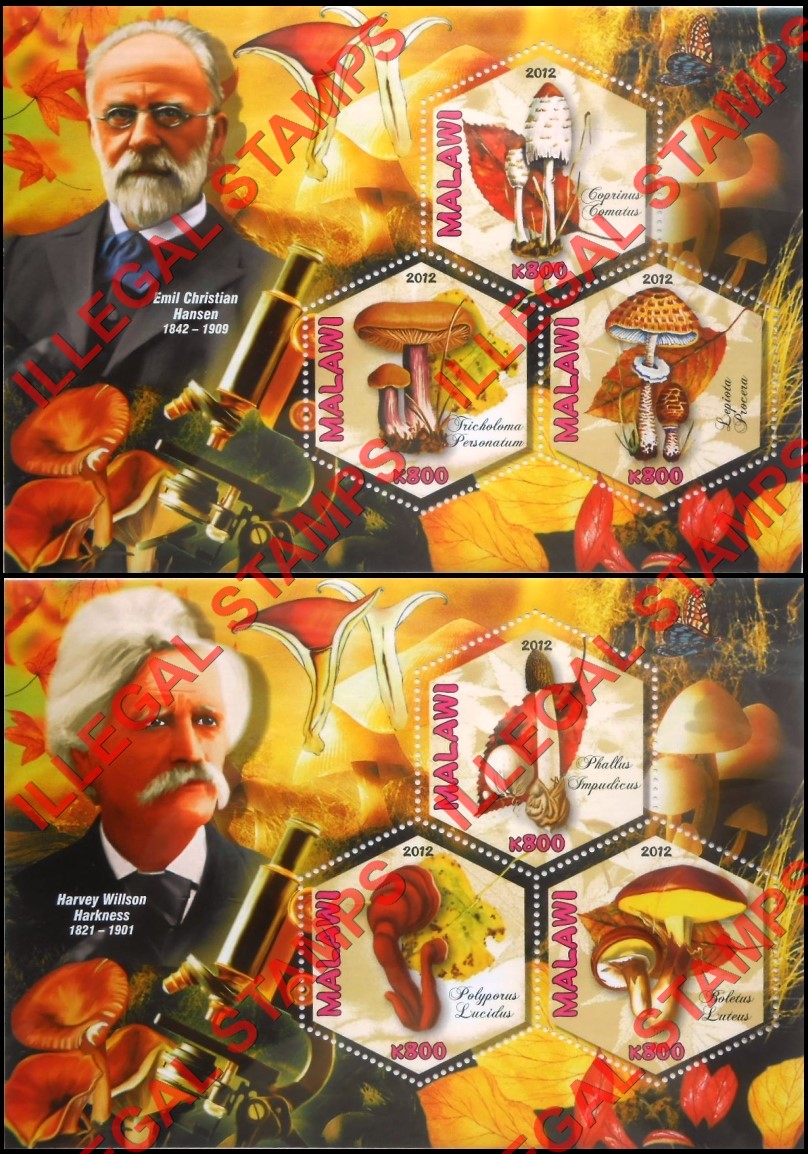 Malawi 2012 Mushrooms and Mycologists Illegal Stamp Souvenir Sheets of 3 (Part 2) Malawi 2012 Mushrooms and Mycologists Illegal Stamp Souvenir Sheets of 3 (Part 2)