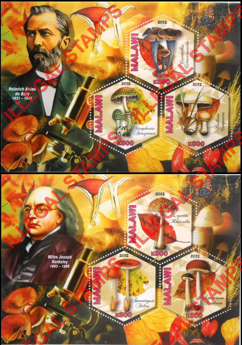 Malawi 2012 Mushrooms and Mycologists Illegal Stamp Souvenir Sheets of 3 (Part 3) Malawi 2012 Mushrooms and Mycologists Illegal Stamp Souvenir Sheets of 3 (Part 3)