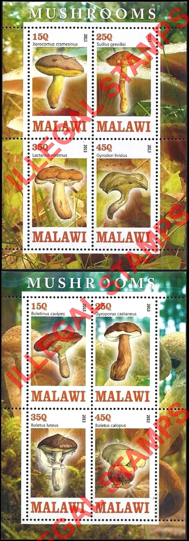 Malawi 2013 Mushrooms Illegal Stamp Souvenir Sheets of 4 (Part 2) Malawi 2013 Mushrooms Illegal Stamp Souvenir Sheets of 4 (Part 2)