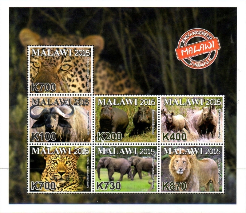 Malawi 2016 Endangered Animals of Malawi Souvenir Sheet of 7 Scott 826 Malawi 2016 Endangered Animals of Malawi Souvenir Sheet of 7 Scott 826
