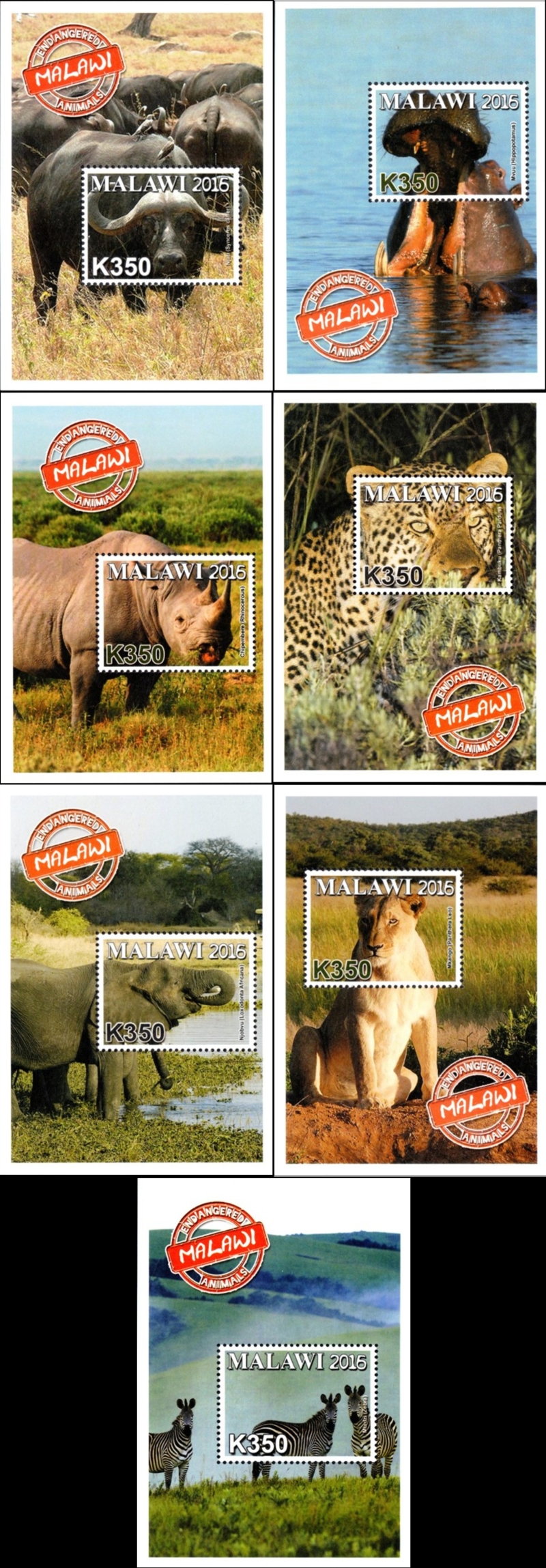 Malawi 2016 Endangered Animals of Malawi Souvenir Sheets of 1 Scott 827-833 Malawi 2016 Endangered Animals of Malawi Souvenir Sheets of 1 Scott 827-833