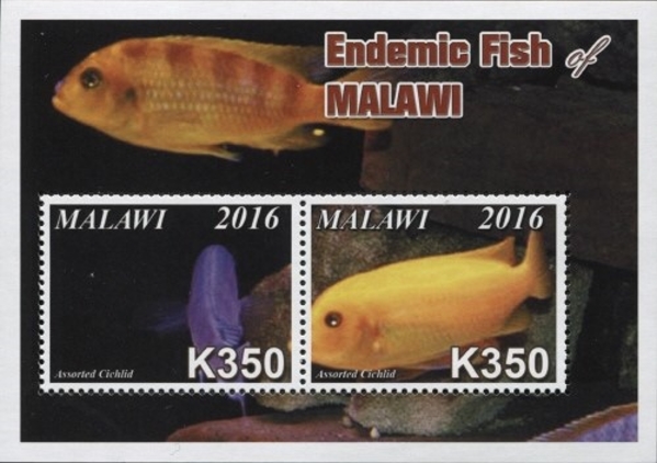Malawi 2016 Endemic Fish of Malawi Souvenir Sheet of 2 Scott 806 Malawi 2016 Endemic Fish of Malawi Souvenir Sheet of 2 Scott 806