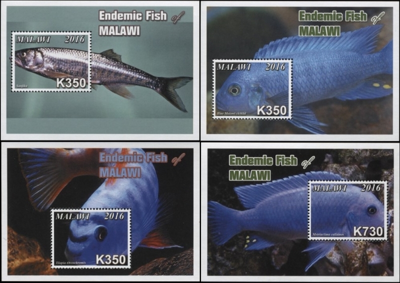 Malawi 2016 Endemic Fish of Malawi Souvenir Sheets of 1 Scott 807-810 Malawi 2016 Endemic Fish of Malawi Souvenir Sheets of 1 Scott 807-810