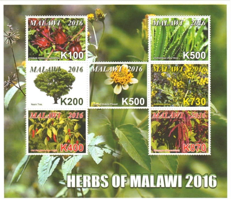 Malawi 2016 Herbs of Malawi Souvenir Sheet of 7 Scott 834 Malawi 2016 Herbs of Malawi Souvenir Sheet of 7 Scott 834