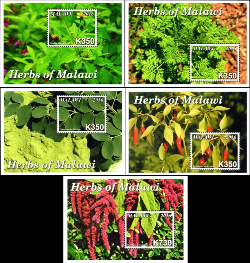 Malawi 2016 Herbs of Malawi Souvenir Sheets of 1 Scott 835-839 Malawi 2016 Herbs of Malawi Souvenir Sheets of 1 Scott 835-839