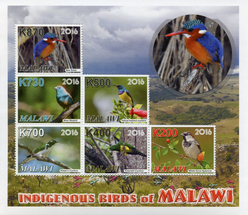 Malawi 2016 Indigenous Birds of Malawi Souvenir Sheet of 6 Scott 811 Malawi 2016 Indigenous Birds of Malawi Souvenir Sheet of 6 Scott 811