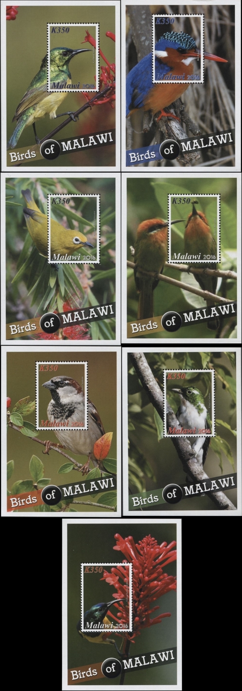 Malawi 2016 Indigenous Birds of Malawi Souvenir Sheets of 1 Scott 812-818 Malawi 2016 Indigenous Birds of Malawi Souvenir Sheets of 1 Scott 812-818