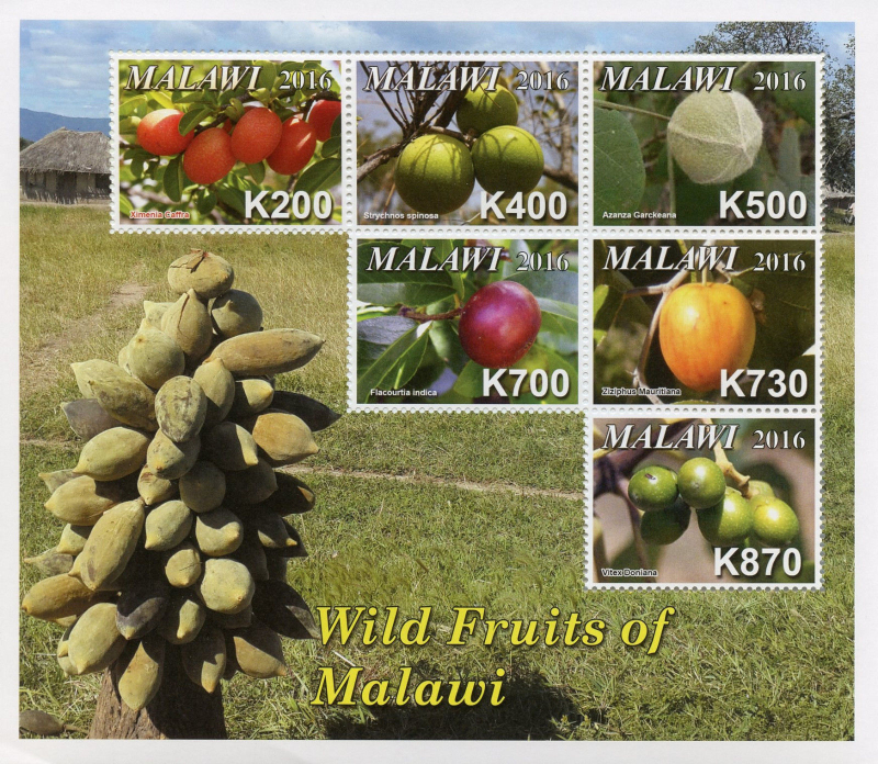 Malawi 2016 Wild Fruits of Malawi Souvenir Sheet of 6 Scott 819 Malawi 2016 Wild Fruits of Malawi Souvenir Sheet of 6 Scott 819