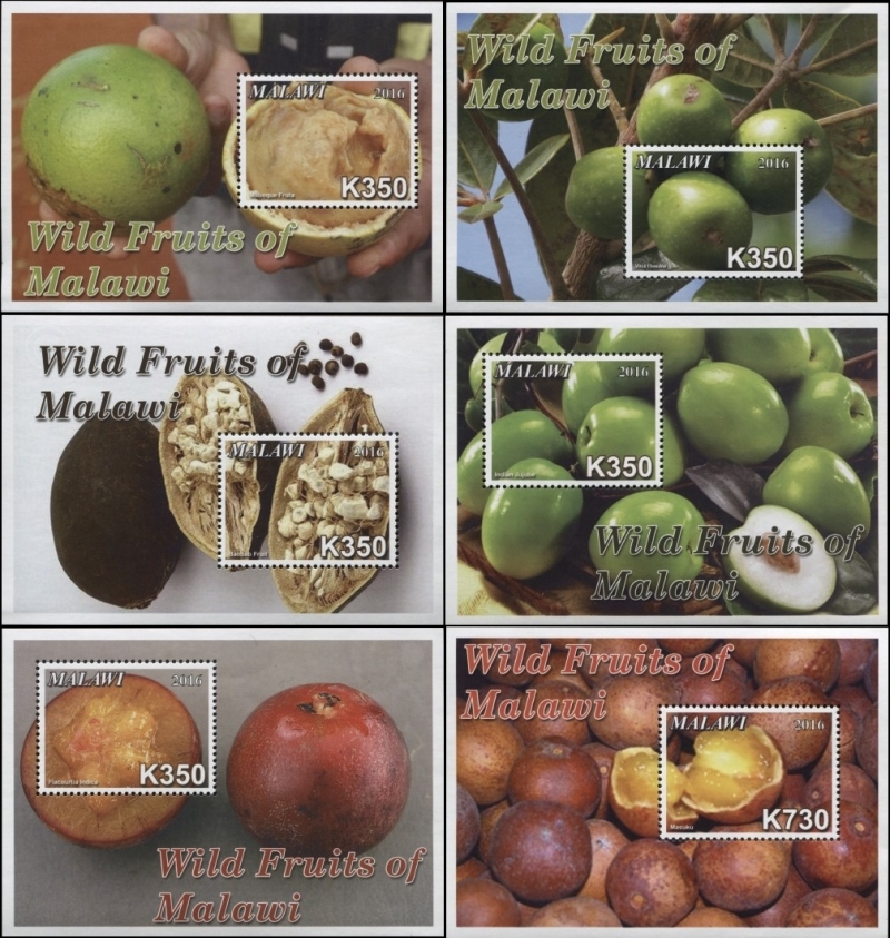 Malawi 2016 Wild Fruits of Malawi Souvenir Sheets of 1 Scott 820-825 Malawi 2016 Wild Fruits of Malawi Souvenir Sheets of 1 Scott 820-825