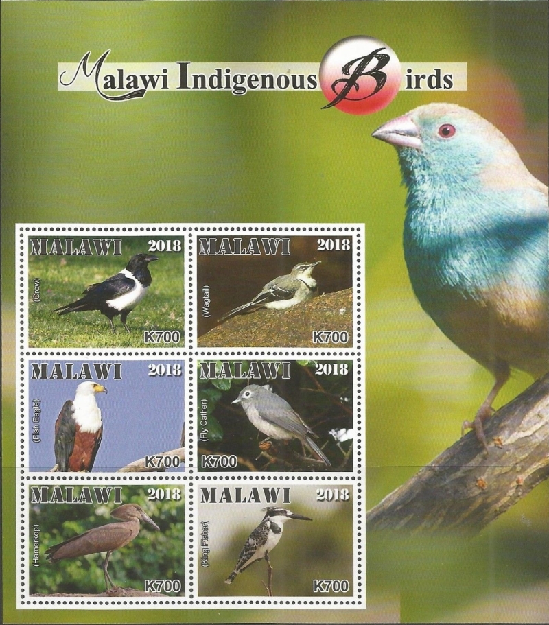 Malawi 2018 Indigenous Birds of Malawi Souvenir Sheet of 6 Malawi 2018 Indigenous Birds of Malawi Souvenir Sheet of 6
