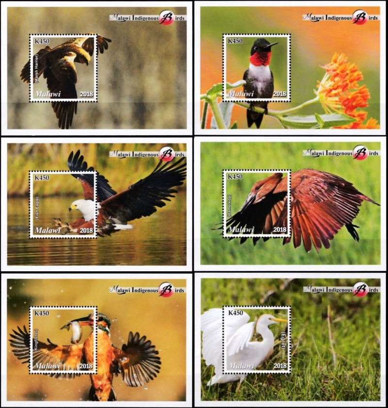 Malawi 2018 Indigenous Birds of Malawi Souvenir Sheets of 1 Malawi 2018 Indigenous Birds of Malawi Souvenir Sheets of 1
