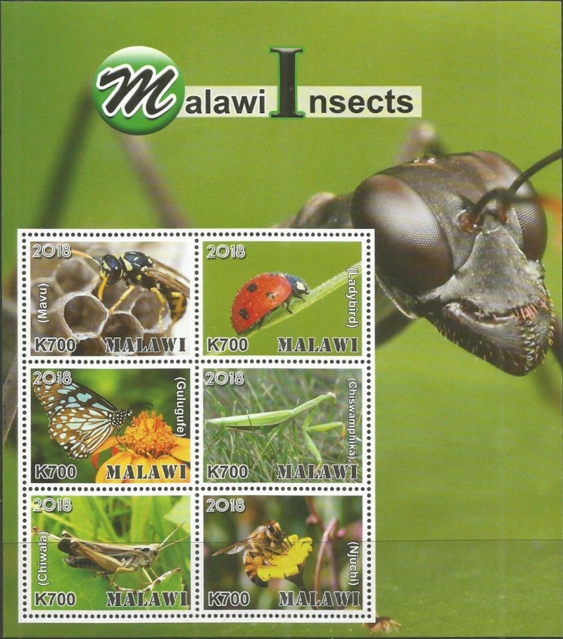 Malawi 2018 Insects of Malawi Souvenir Sheet of 6 Malawi 2018 Insects of Malawi Souvenir Sheet of 6