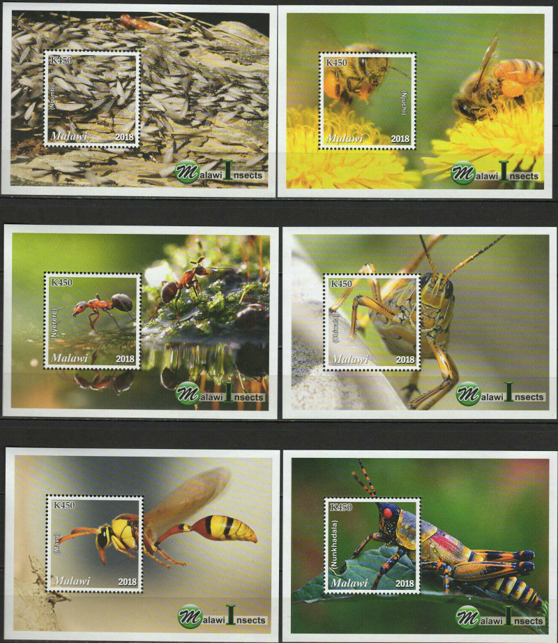 Malawi 2018 Insects of Malawi Souvenir Sheets of 1 Malawi 2018 Insects of Malawi Souvenir Sheets of 1