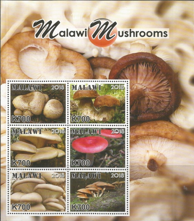 Malawi 2018 Mushrooms of Malawi Souvenir Sheet of 6 Malawi 2018 Mushrooms of Malawi Souvenir Sheet of 6