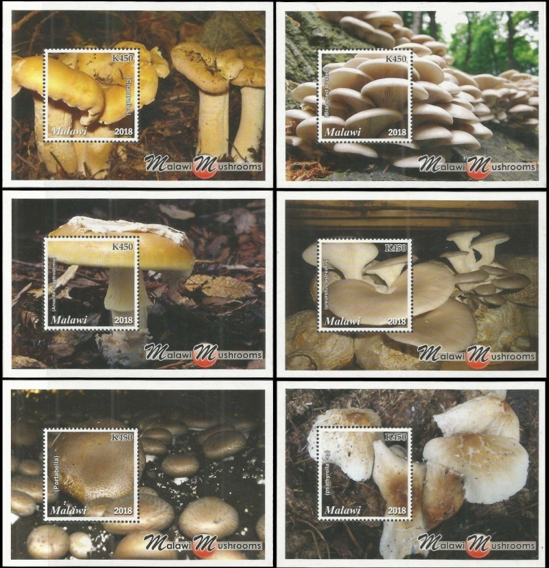 Malawi 2018 Mushrooms of Malawi Souvenir Sheets of 1 Malawi 2018 Mushrooms of Malawi Souvenir Sheets of 1
