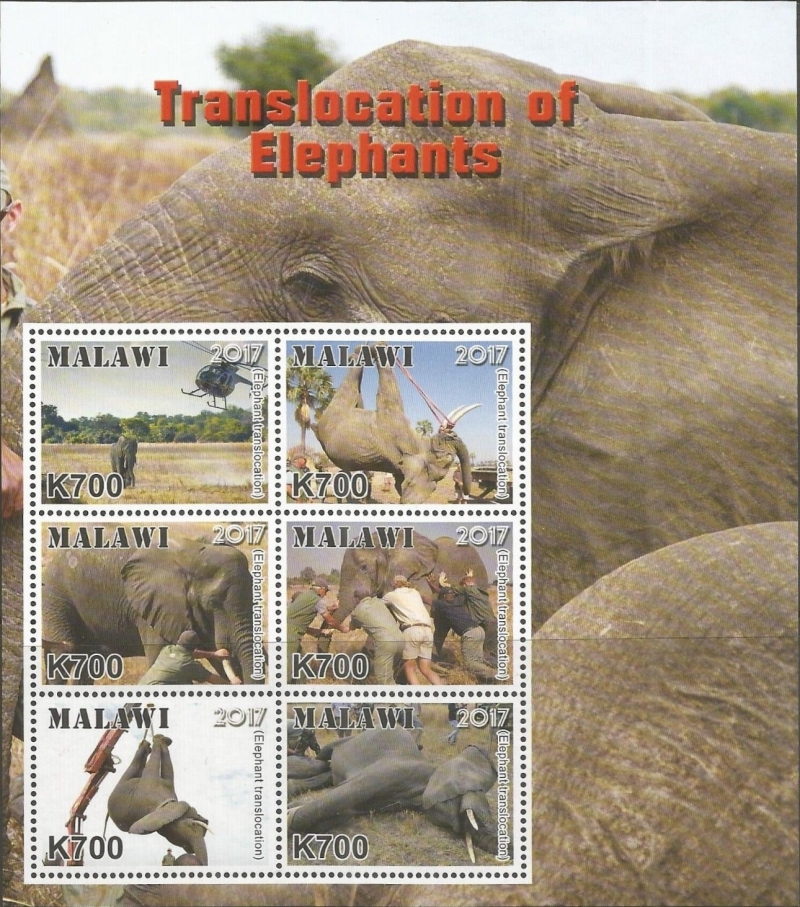 Malawi 2018 Translocation of Elephants Souvenir Sheet of 6 Malawi 2018 Translocation of Elephants Souvenir Sheet of 6