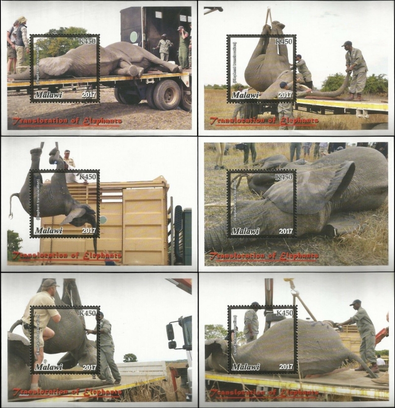 Malawi 2018 Translocation of Elephants Souvenir Sheets of 1 Malawi 2018 Translocation of Elephants Souvenir Sheets of 1