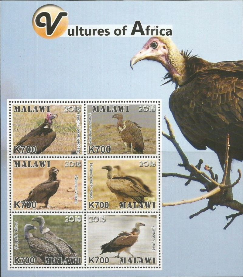 Malawi 2018 Vultures of Africa Souvenir Sheet of 6 Malawi 2018 Vultures of Africa Souvenir Sheet of 6