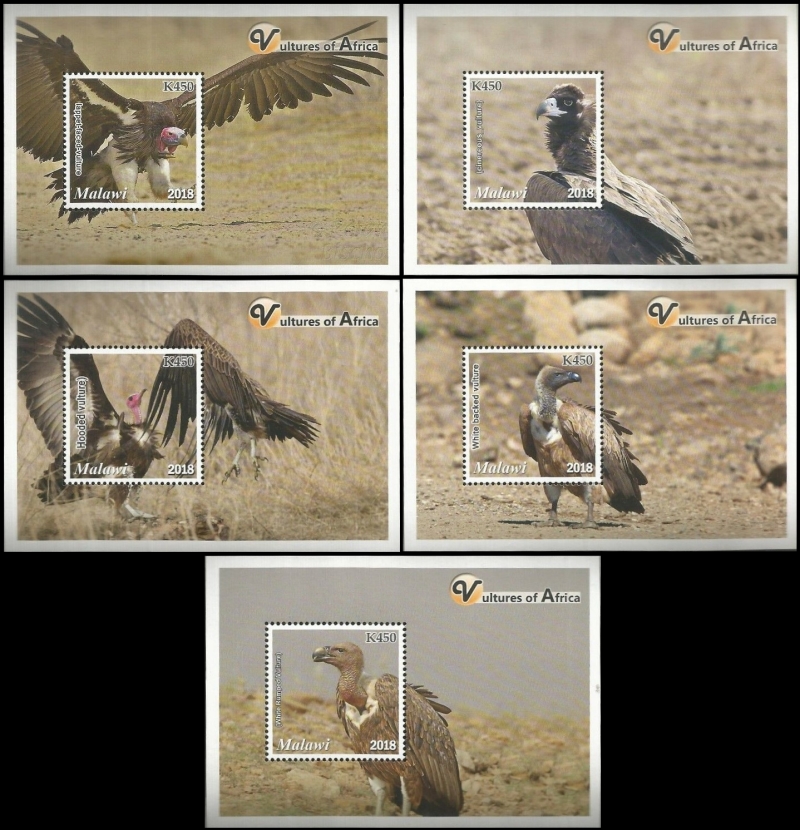Malawi 2018 Vultures of Africa Souvenir Sheets of 1 Malawi 2018 Vultures of Africa Souvenir Sheets of 1