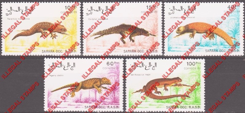 Sahara Occ. RASD 1991 Lizards Counterfeit Illegal Stamp Set of 5 Sahara Occ. RASD 1991 Lizards Counterfeit Illegal Stamp Set of 5