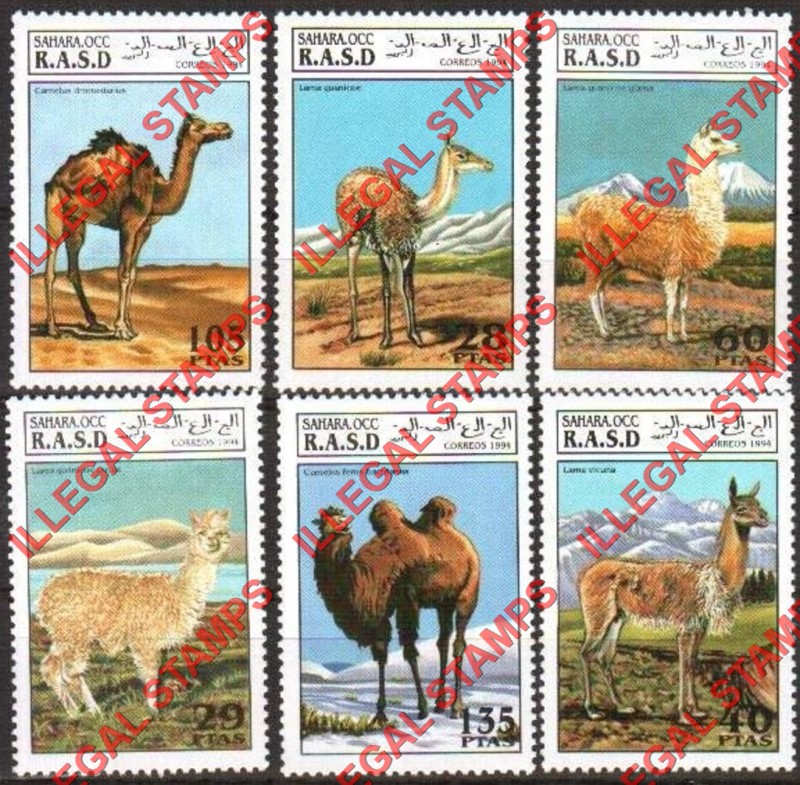 Sahara Occ. RASD 1994 Camels Counterfeit Illegal Stamp Set of 6 Sahara Occ. RASD 1994 Camels Counterfeit Illegal Stamp Set of 6