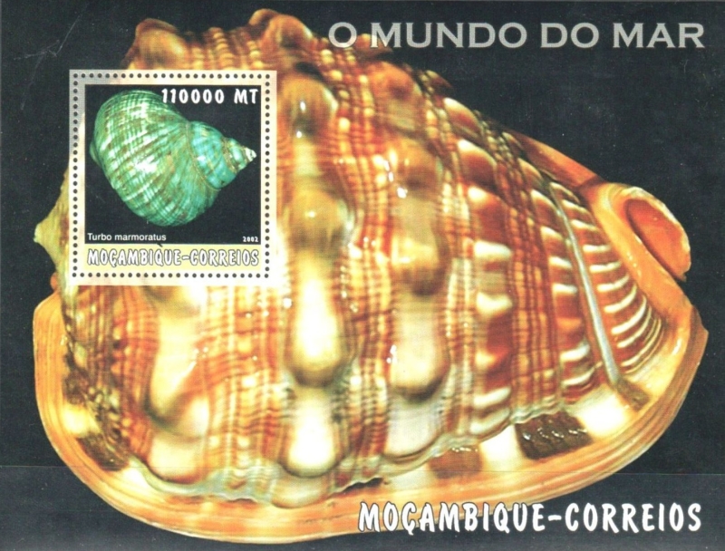 Mozambique 2002 World of the Sea Shells Authorized Stamp Souvenir Sheet of 1 Mozambique 2002 World of the Sea Shells Authorized Stamp Souvenir Sheet of 1