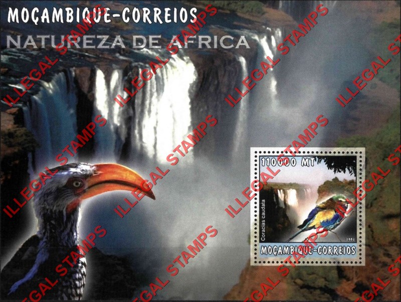 Mozambique 2002 Nature of Africa Birds Counterfeit Illegal Stamp Souvenir Sheet of 1 Mozambique 2002 Nature of Africa Birds Counterfeit Illegal Stamp Souvenir Sheet of 1