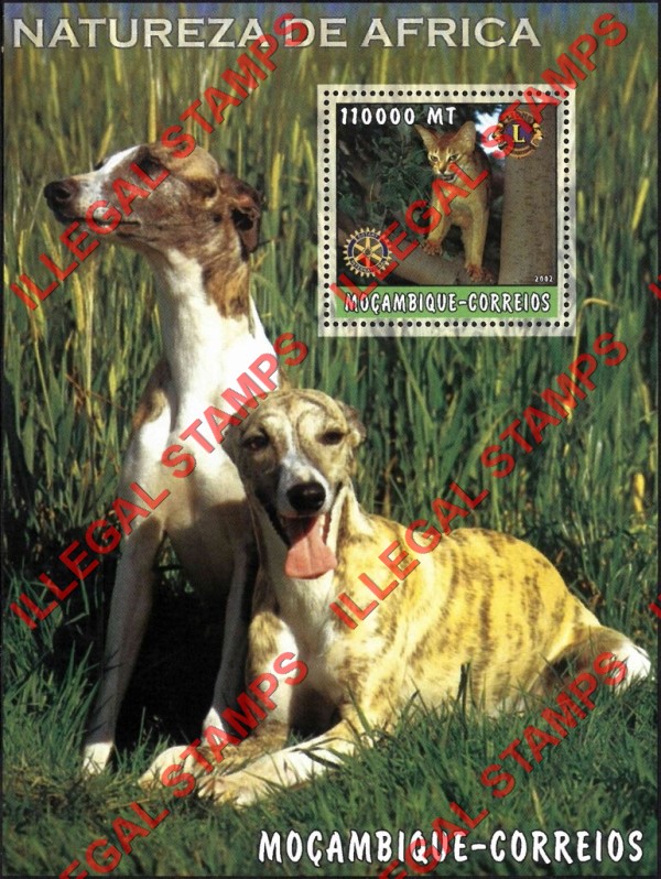 Mozambique 2002 Nature of Africa Cats Dogs Counterfeit Illegal Stamp Souvenir Sheet of 1 Mozambique 2002 Nature of Africa Cats Dogs Counterfeit Illegal Stamp Souvenir Sheet of 1