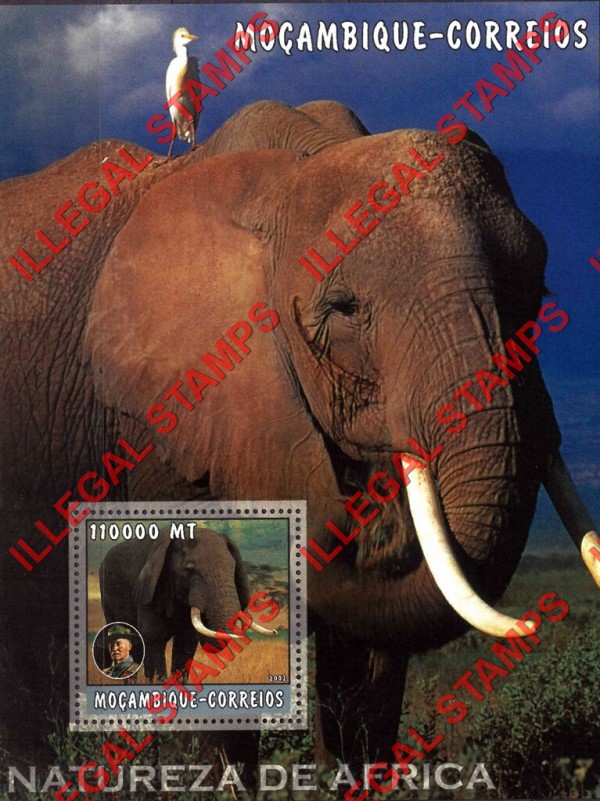 Mozambique 2002 Nature of Africa Elephants Counterfeit Illegal Stamp Souvenir Sheet of 1 Mozambique 2002 Nature of Africa Elephants Counterfeit Illegal Stamp Souvenir Sheet of 1