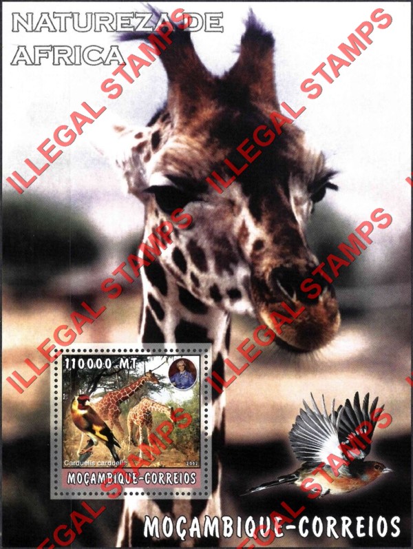 Mozambique 2002 Nature of Africa Giraffes Counterfeit Illegal Stamp Souvenir Sheet of 1 Mozambique 2002 Nature of Africa Giraffes Counterfeit Illegal Stamp Souvenir Sheet of 1