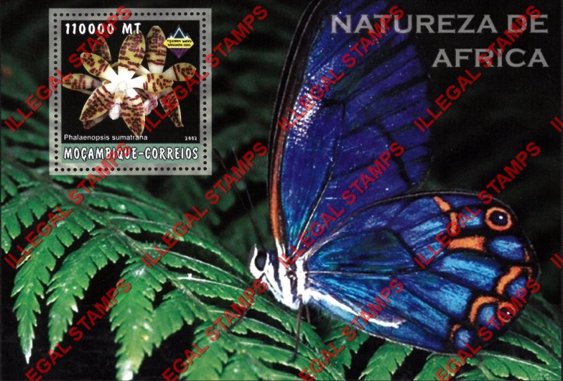 Mozambique 2002 Nature of Africa Orchids Butterfly Counterfeit Illegal Stamp Souvenir Sheet of 1 Mozambique 2002 Nature of Africa Orchids Butterfly Counterfeit Illegal Stamp Souvenir Sheet of 1