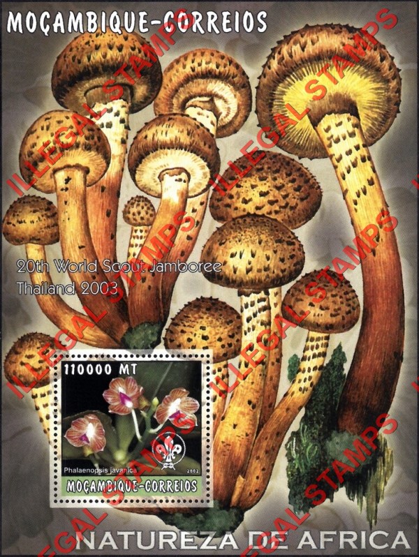 Mozambique 2002 Nature of Africa Orchids Mushrooms Counterfeit Illegal Stamp Souvenir Sheet of 1 Mozambique 2002 Nature of Africa Orchids Mushrooms Counterfeit Illegal Stamp Souvenir Sheet of 1
