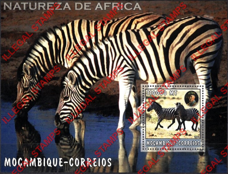 Mozambique 2002 Nature of Africa Zebras Counterfeit Illegal Stamp Souvenir Sheet of 1 Mozambique 2002 Nature of Africa Zebras Counterfeit Illegal Stamp Souvenir Sheet of 1