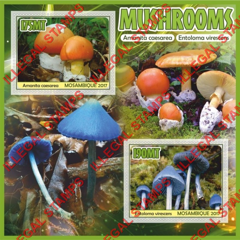  Mozambique 2017 Mushrooms Counterfeit Illegal Stamp Souvenir Sheet of 2