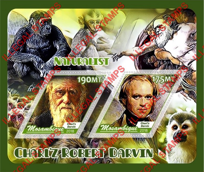 Mozambique 2018 Charles Darwin Naturalist Counterfeit Illegal Stamp Souvenir Sheet of 2 Mozambique 2018 Charles Darwin Naturalist Counterfeit Illegal Stamp Souvenir Sheet of 2