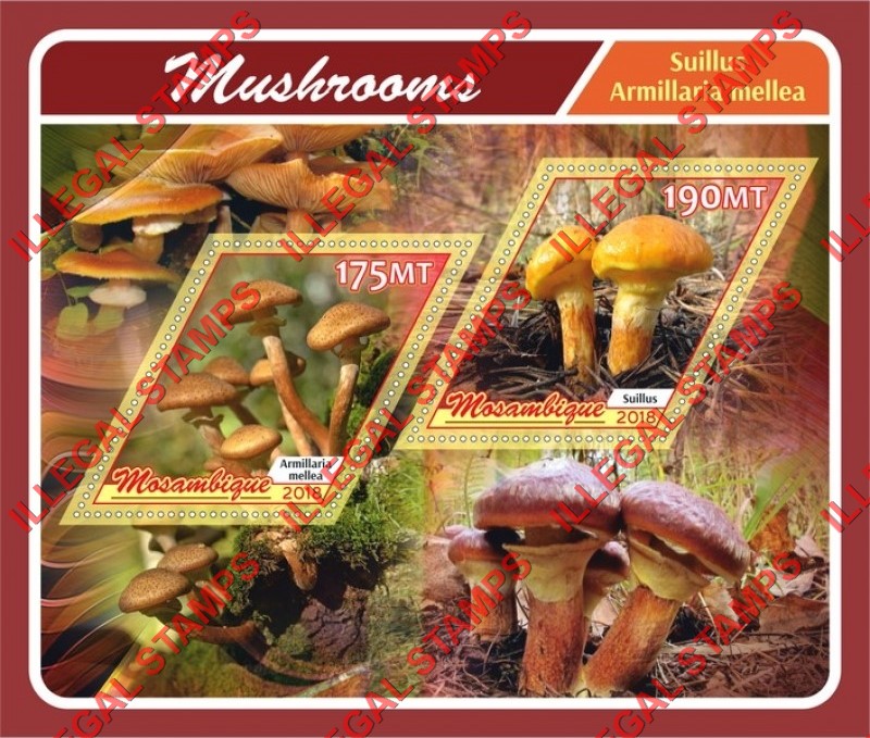 Mozambique 2018 Mushrooms (different b) Counterfeit Illegal Stamp Souvenir Sheet of 2 Mozambique 2018 Mushrooms (different b) Counterfeit Illegal Stamp Souvenir Sheet of 2