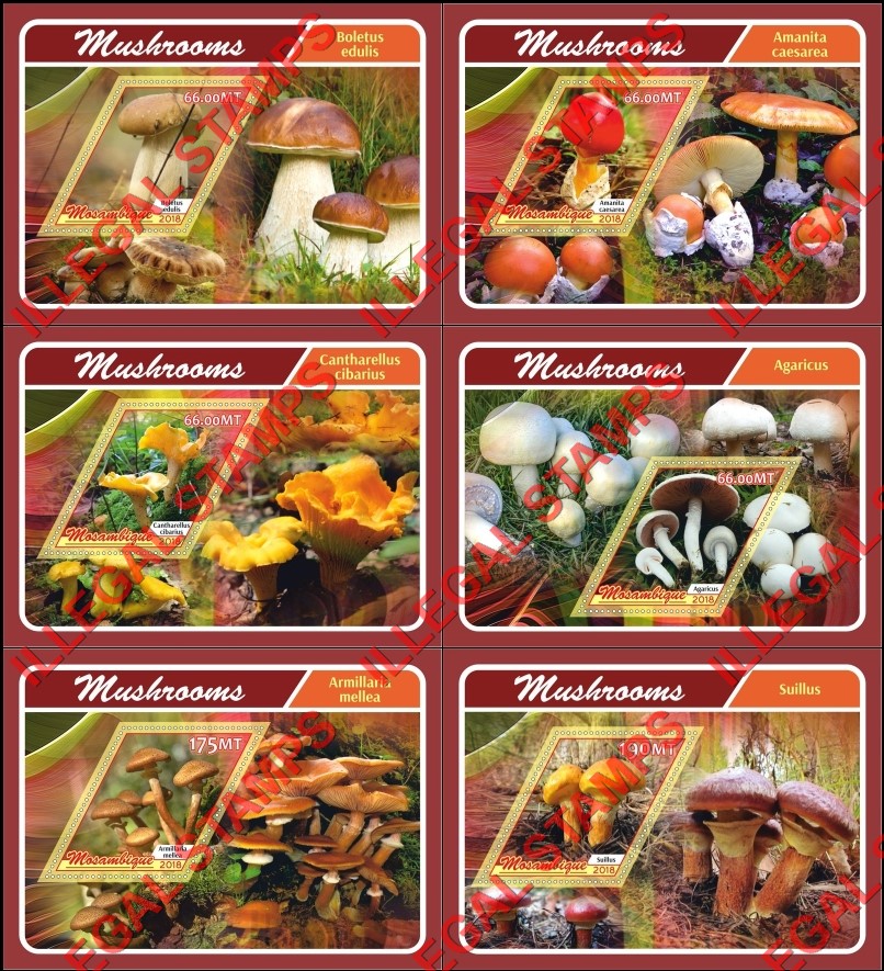 Mozambique 2018 Mushrooms (different b) Counterfeit Illegal Stamp Souvenir Sheets of 1 Mozambique 2018 Mushrooms (different b) Counterfeit Illegal Stamp Souvenir Sheets of 1