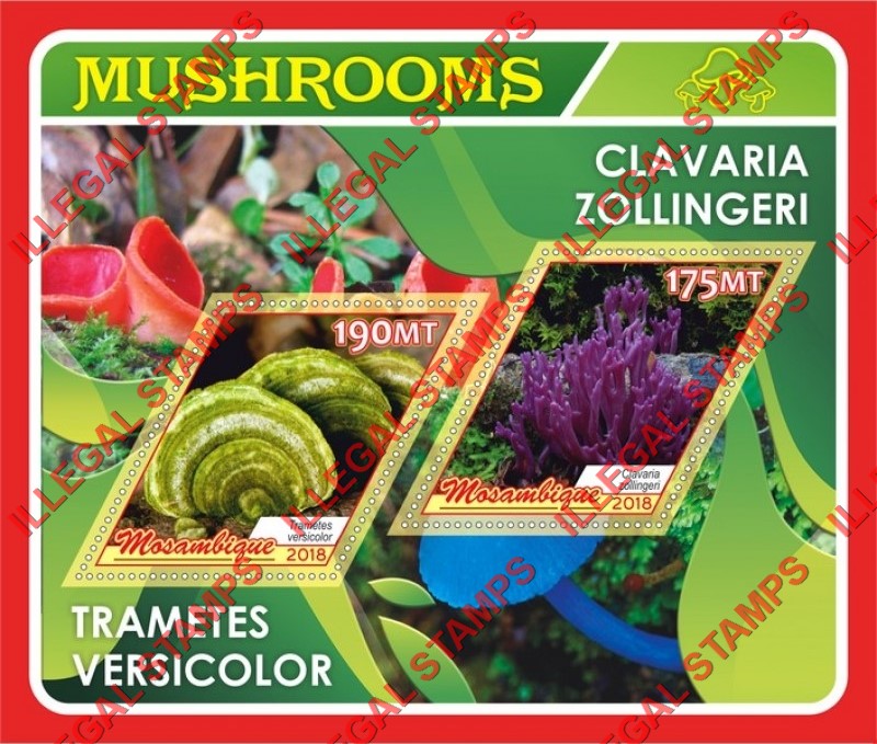 Mozambique 2018 Mushrooms (different c) Counterfeit Illegal Stamp Souvenir Sheet of 2 Mozambique 2018 Mushrooms (different c) Counterfeit Illegal Stamp Souvenir Sheet of 2
