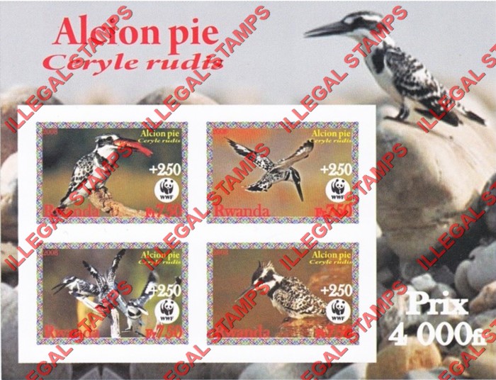 Rwanda 2008 Birds Pied Kingfisher (WWF) Illegal Stamp Souvenir Sheet of 4 Rwanda 2008 Birds Pied Kingfisher (WWF) Illegal Stamp Souvenir Sheet of 4