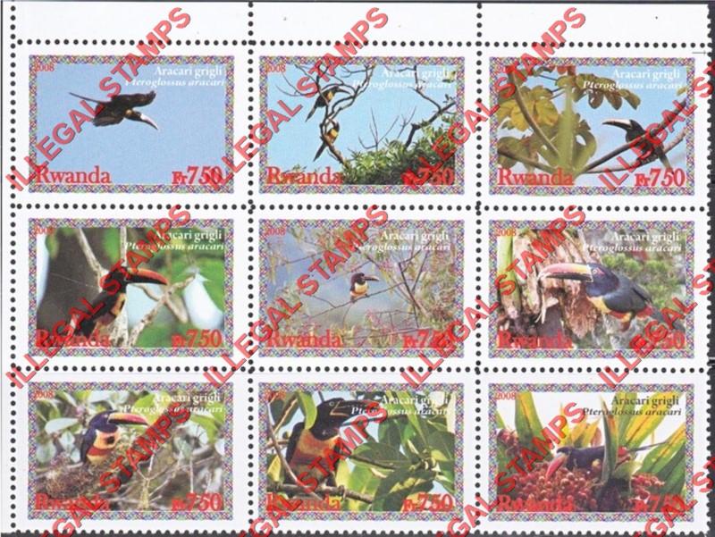 Rwanda 2008 Birds Toucan Black-necked Aracari Illegal Stamp Part Sheet of 9 Rwanda 2008 Birds Toucan Black-necked Aracari Illegal Stamp Part Sheet of 9