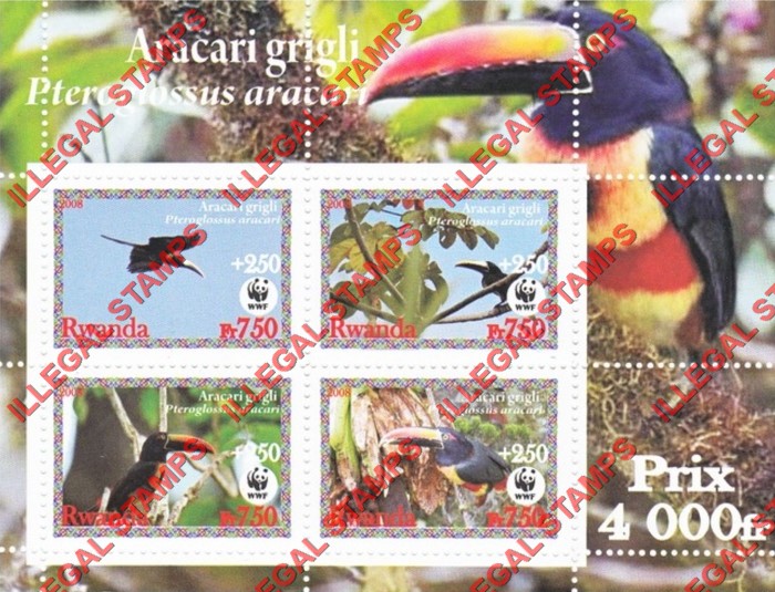 Rwanda 2008 Birds Toucan Black-necked Aracari (WWF) Illegal Stamp Souvenir Sheet of 4 Rwanda 2008 Birds Toucan Black-necked Aracari (WWF) Illegal Stamp Souvenir Sheet of 4