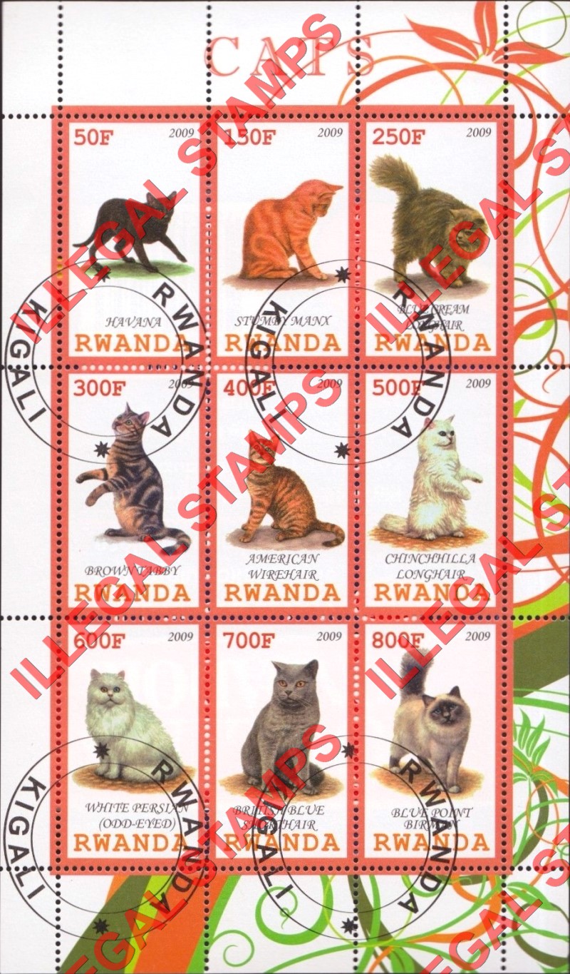 Rwanda 2009 Cats Illegal Stamp Sheet of 9 Rwanda 2009 Cats Illegal Stamp Sheet of 9